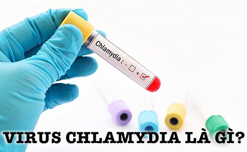 Virus Chlamydia là gì?